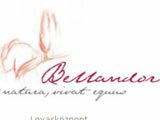 Bellandor Lovask�zpont